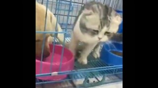 إذا كنت لا تحبهم فلا تذهب للشرب!