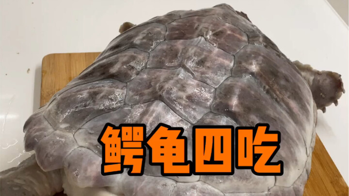 外来入侵物种鳄龟我们要这样处理，千万不能放生
