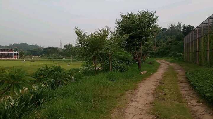 Beautiful of Bangladesh