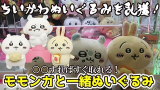 【ちいかわ】○○すればすぐ取れる！ちいかわを乱獲！モモンガと一緒ぬいぐるみ【クレーンゲーム】