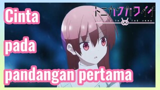 Cinta pada pandangan pertama