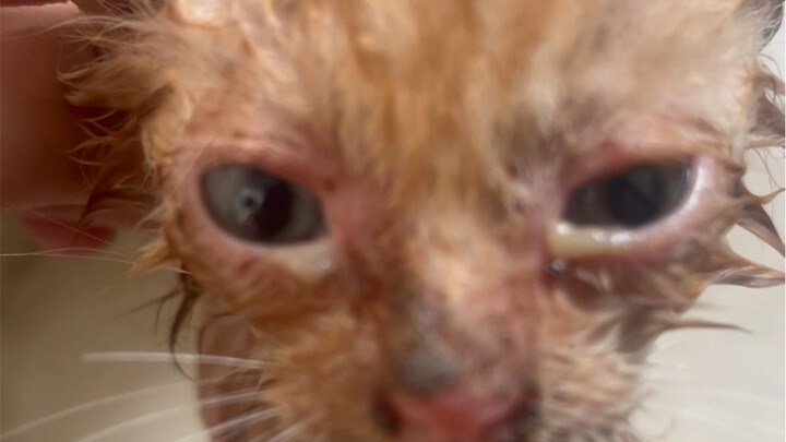 ألا تعرف إن كان حظك أم حظي الذي جمعنا؟