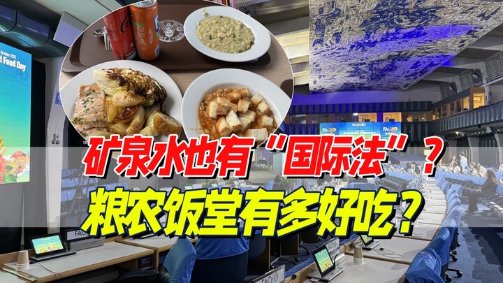 The most cost-effective cafeteria? A store visit to the Food and Agriculture Organization of the Uni