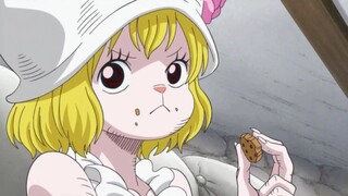 Carrot xử Luffy #onepiece
