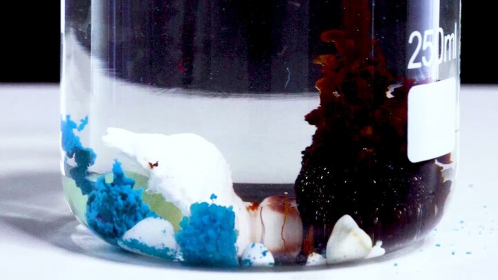 Experience the Romance of Chemistry Class—The Water Garden!