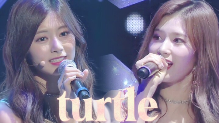 【TWICE】Lagu balada paling manis dari Kelinci Penuh Semangat! Panggung “turtle (Kura-Kura)” dengan te