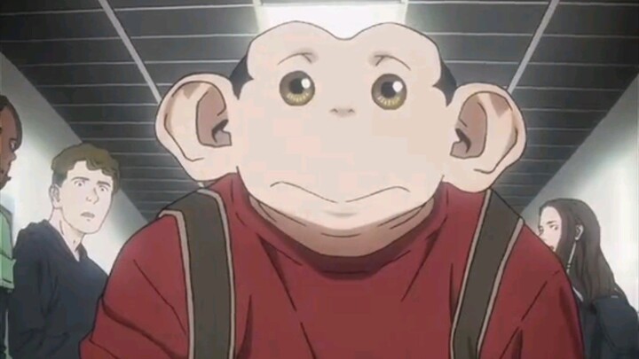 ketika hidup dimana yang kuat dialah yang berkuasa ya kayak hukum rimba judul animenya darwin jihen