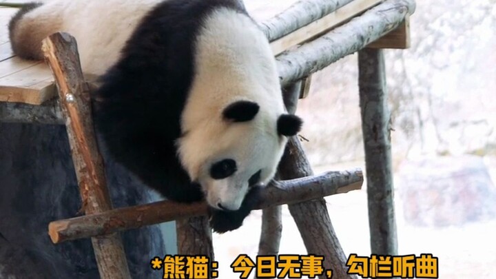 Those dressed all in black and those in black-and-white fur coats can’t seem to make sense of what t