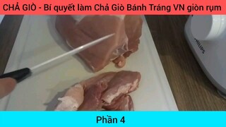 CHẢ GIÒ - Bí quyết làm Chả Giò Bánh Tráng VN giòn rụm #4