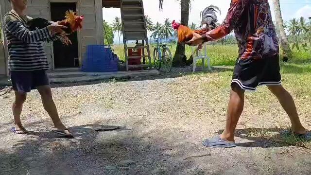 3rd Spar for 3 Stag preparation ♥️🙏