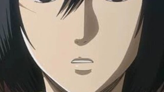 mikasa-san