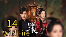 14  野火Yěhuǒ [Wild Fire].... ❤️🔥