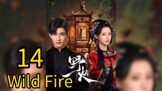 14  野火Yěhuǒ [Wild Fire].... ❤️🔥