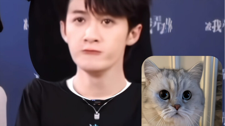 猫猫踩奶…檀健次你不要太可爱了