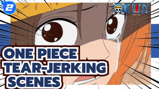One Piece Tear-Jerking Scenes_2