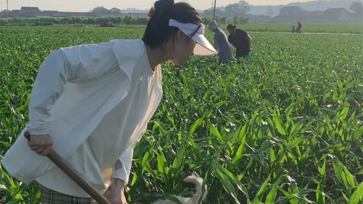Động lực nào giúp bạn kiên trì nỗ lực trong cuộc sống?