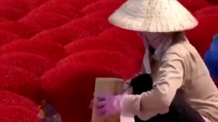 The Source of Art Is Life | Vietnam’s Incense-Making Workers