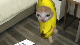 The weather is too hot, so Banana Cat decides to go to the mall to enjoy the air conditioning.