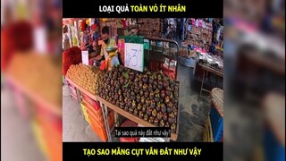 Loại quả toàn vỏ ít nhân, tại sao măng cụt vẫn đắt như vậy | LT Review