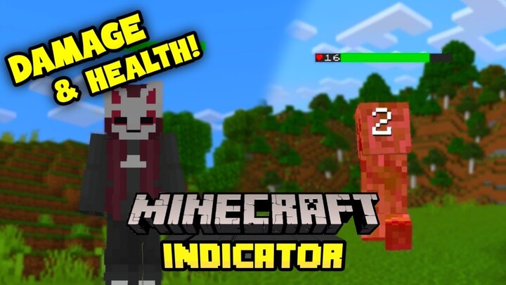 Damage And Health Indicator ADDON | Minecraft BEDROCK /P.E. 1.17.40+ | Minecraft SHOWCASE