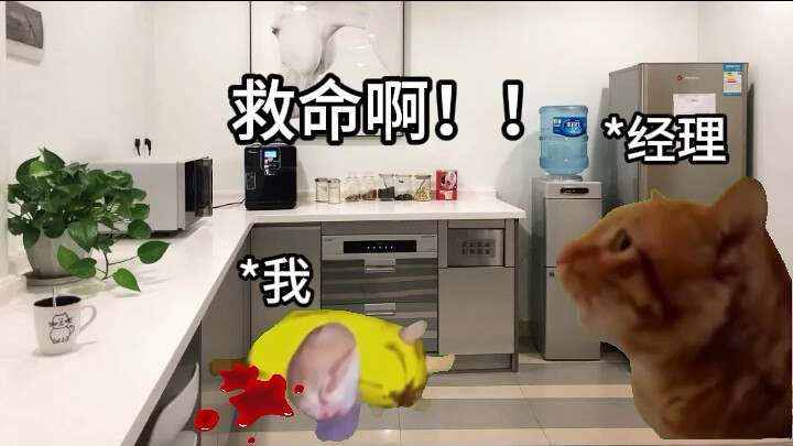 วันแรกที่ฉันเริ่มงานก็ทำให้ผู้บริหารระดับสูงทั้งบริษัทตื่นตัวไปหมด