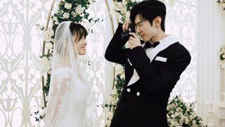 [Chen Zheyuan×Shen Yue] Nan Wang Jin Xiao in the parallel universe must be the happiest couple!