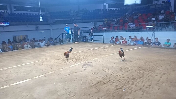 pa double champion (champaca)coliseo de manila