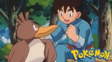 Pokémon Tập 147: Khu Rừng Ubame! Đi Tìm Kamonegi!! (Lồng Tiếng)