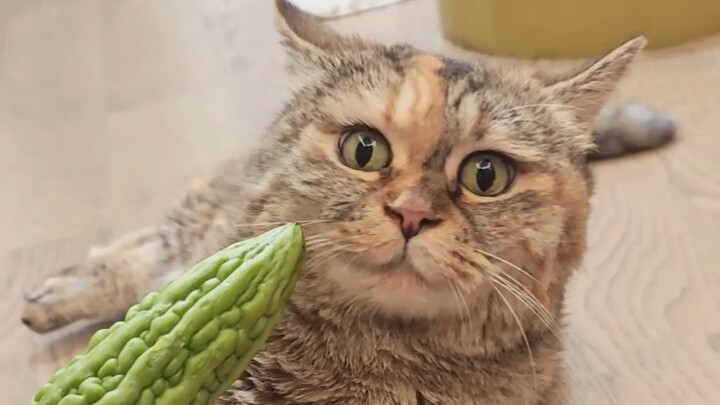 Who told my mom that hugging a watermelon in summer would keep her cool?