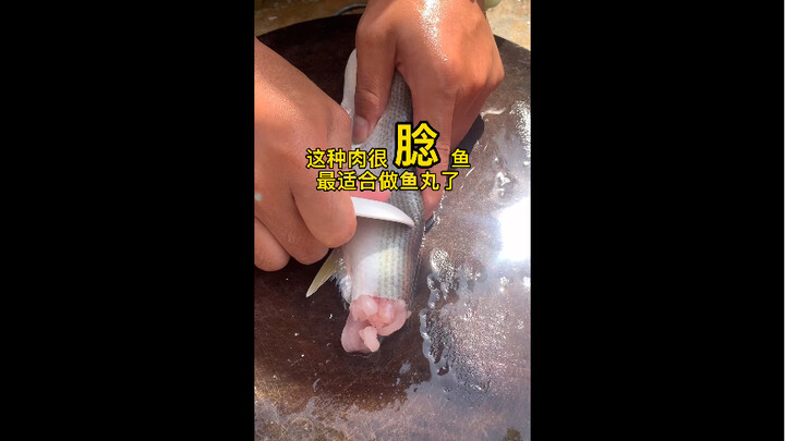 Ikan dengan daging yang sangat lembut ini paling cocok untuk dibuat bakso ikan.