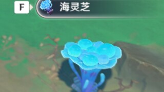 【原神】海灵芝采集点（重制版/已更新渊下宫）