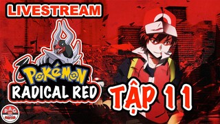 Lửa Rực Cháy #11: Trở thành CHAMPION !!! Hoặc bỏ game !!! | Pokemon Radical Red | PAG Center