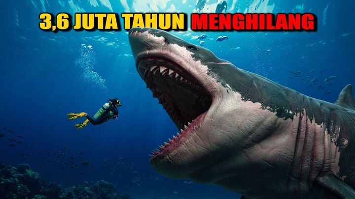 HIU PRASEJARAH INI TERNYATA MASIH HIDUP DI LAUT TERDALAM‼️