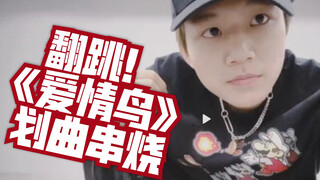 【罗言】翻跳串烧竖屏|《爱情鸟》、NCT127《Regular》、NCT U《Make a Wish》