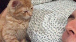 Cats are so cuddly when they sleep!～