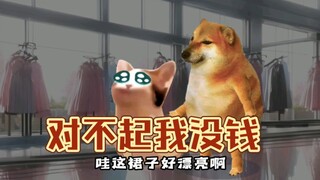 对不起我没钱