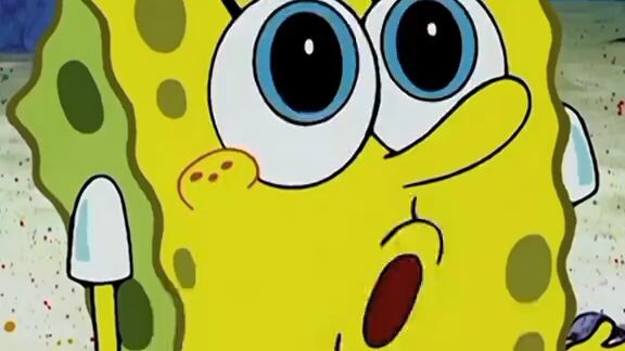 memori one piece#onepiece