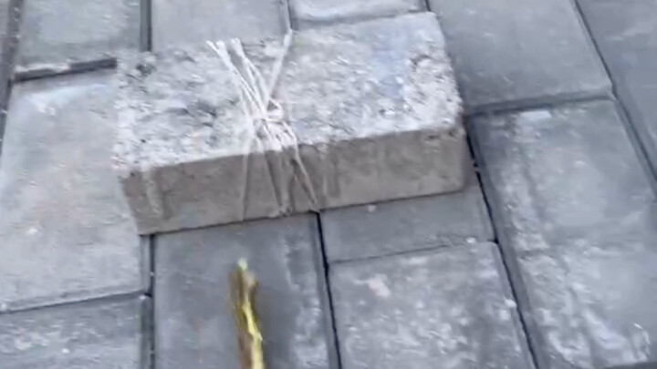 إذا حتى أغصان الشجرة تفجّرت من الغضب...