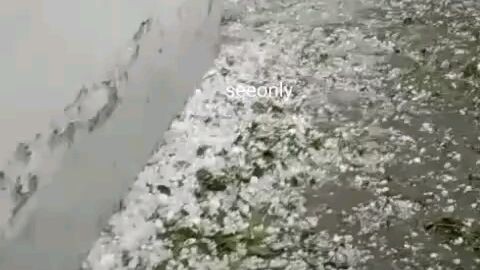 Pakistan rain 🌧️ Islamabad