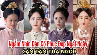 Cẩm Tâm Tựa Ngọc gây sốt với dàn mỹ nhân và trang phục đẹp ngất ngây