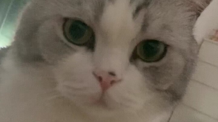 Pengalaman sudut pandang pertama: Layanan bangunin tidur ala Fufu, si Ayah Tetangga!