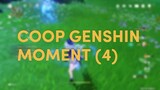Coop Genshin in a Nutshell (4)