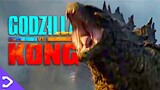 Why Kong Wants Godzilla DEAD! - Godzilla VS Kong THEORY