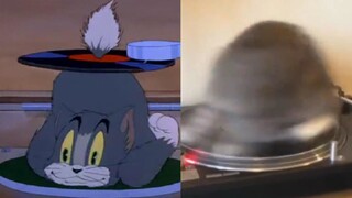 Tom và Jerry quả không lừa tôi ~