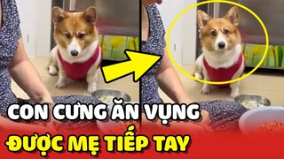 Về quê ăn Tết và bắt gặp cảnh mẹ đút CON TRAI CƯNG ăn vụng 🙄 | Yêu Lu