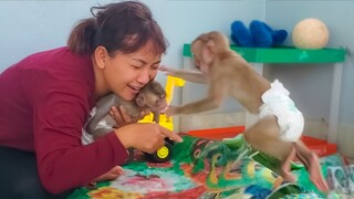 Most Playful Monkeys Toto & Yaya Extremely Happy Playing With Mom