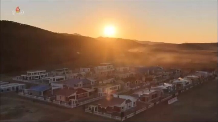 Cultivo de mudas de árvores e prevenção de incêndios florestais