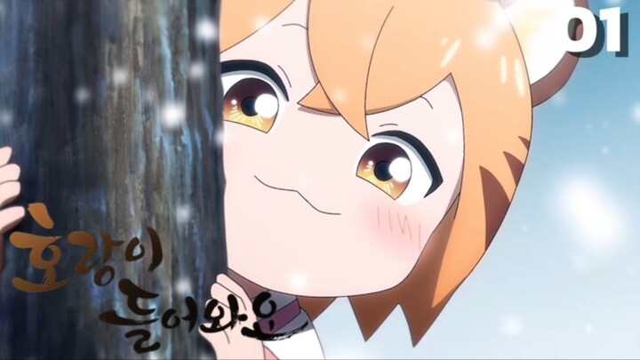 Tiger Coming In (vietsud) - Khi Hổ Tới Nhà Tập 01