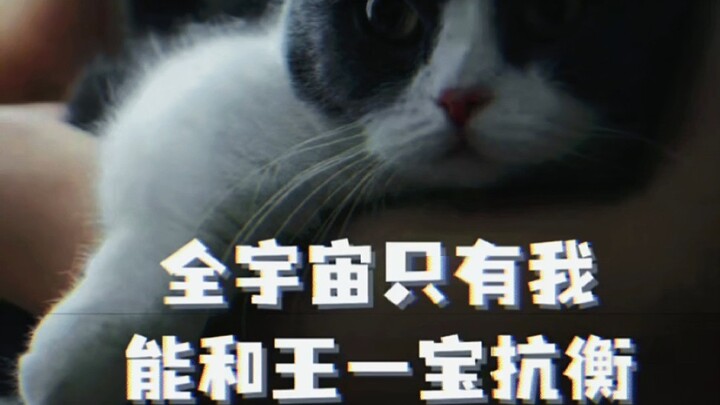 ท้ายที่สุดแล้วเธอก็เป็นสาวงามที่กล้ากลอกตาไปที่วังบ่อ