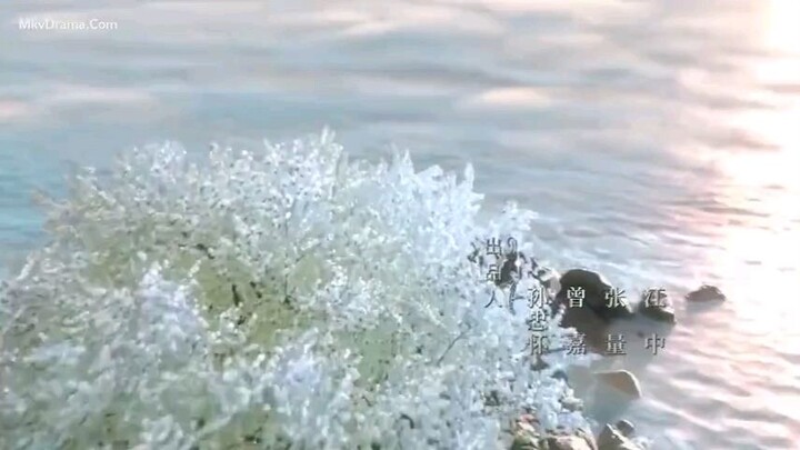 E40 NOVOLAND PEARL ECLIPSE (2021)